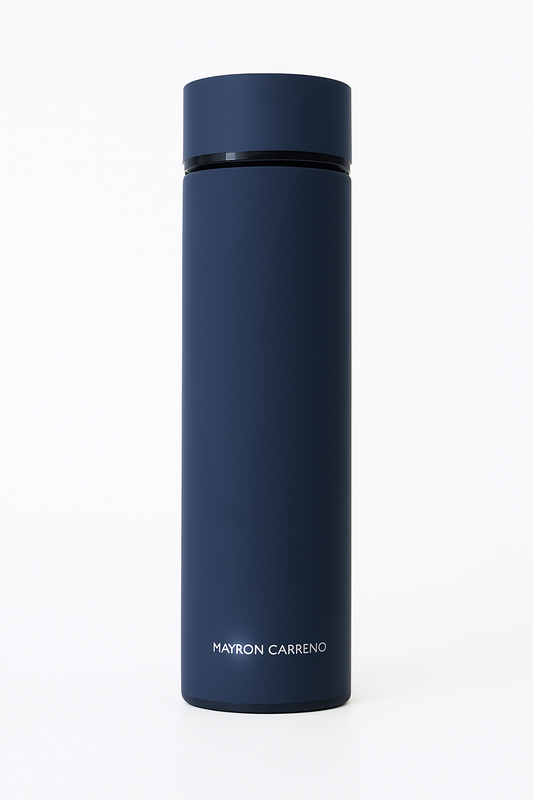 Insulated Stainless Steel Water Bottle with filter 500ml - Blue
